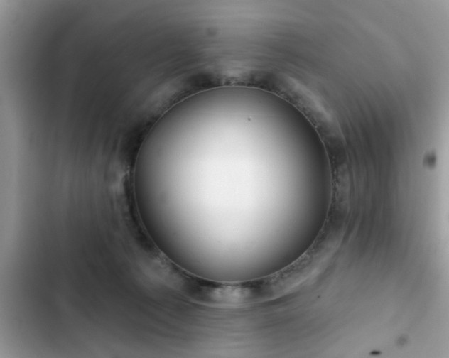 X0000102540225200808151650
