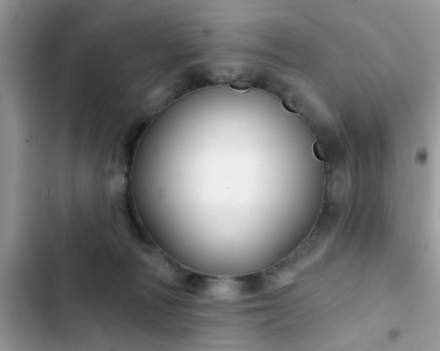 X0000102540226200808151650