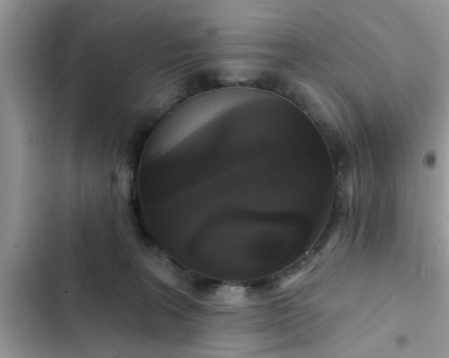 X0000102540227200808151650