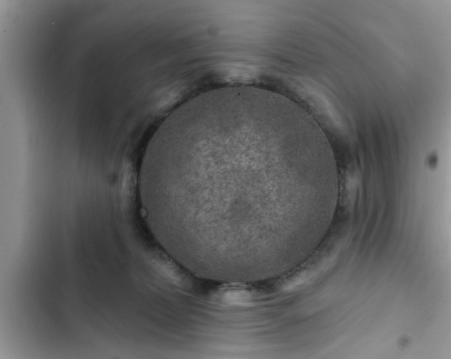 X0000102540228200808151650