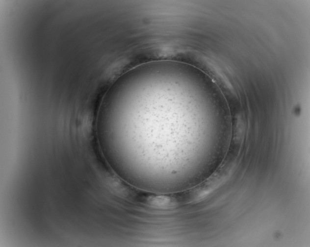 X0000102540230200808151650