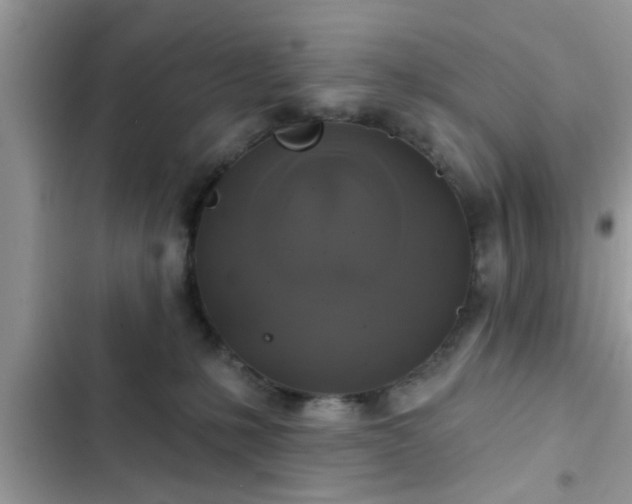 X0000102540231200808151650