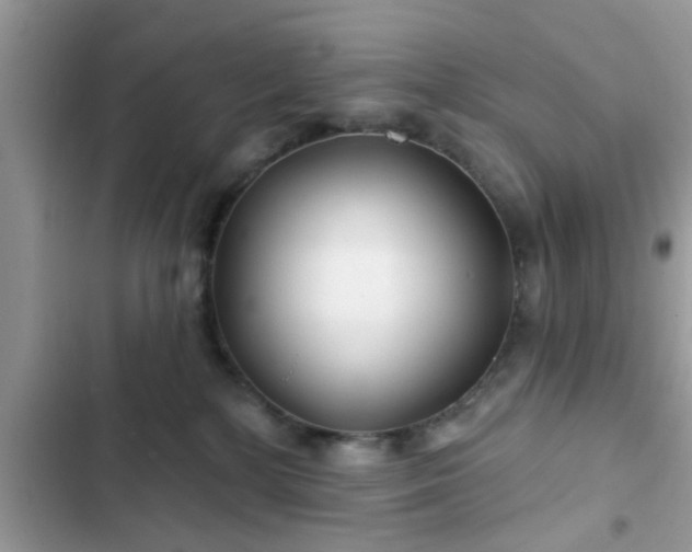X0000102540232200808151650