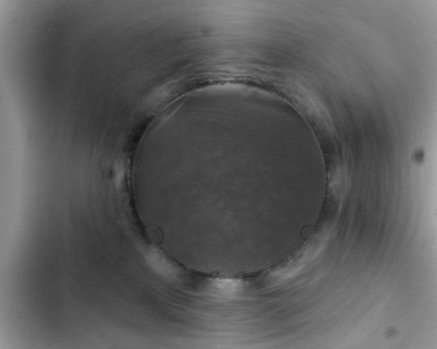 X0000102540233200808151650