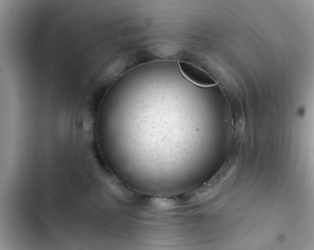 X0000102540234200808151650