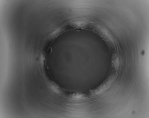 X0000102540235200808151650