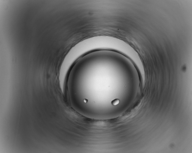 X0000102540237200808151650