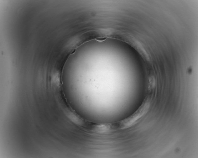 X0000102540238200808151650