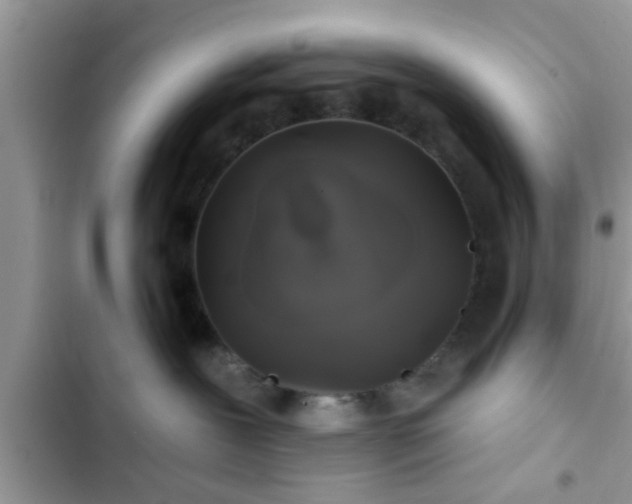 X0000102540239200808151650