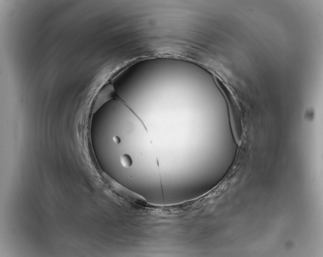 X0000102540241200808151649
