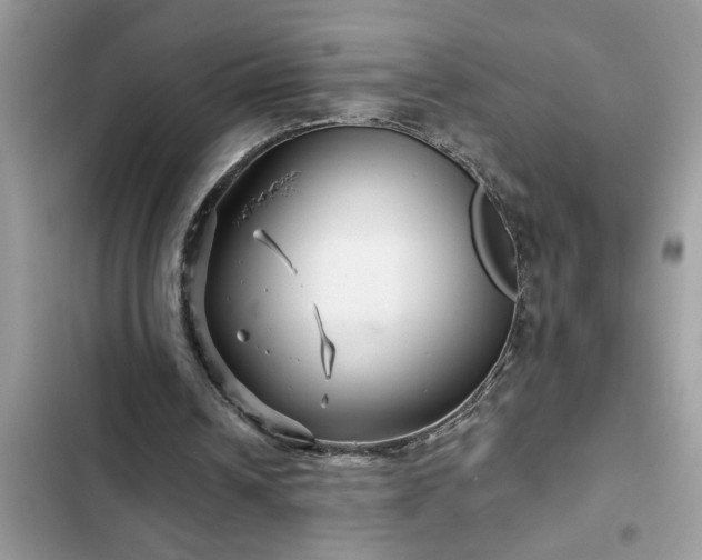 X0000102540242200808151649