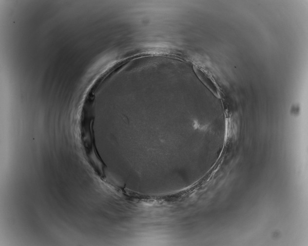 X0000102540243200808151649