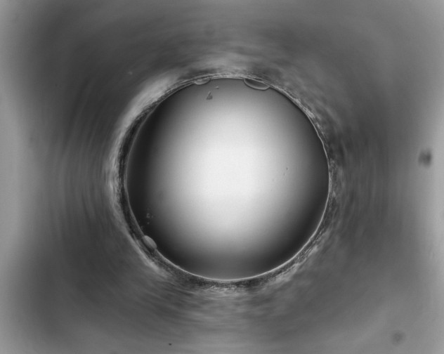 X0000102540245200808151649