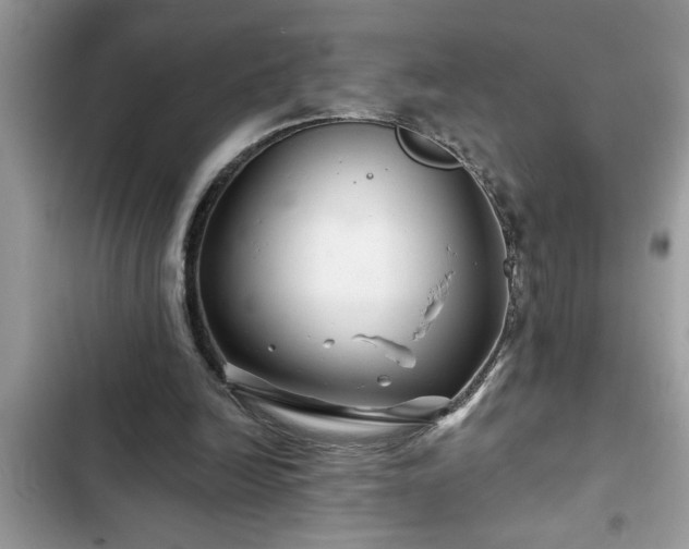 X0000102540246200808151649