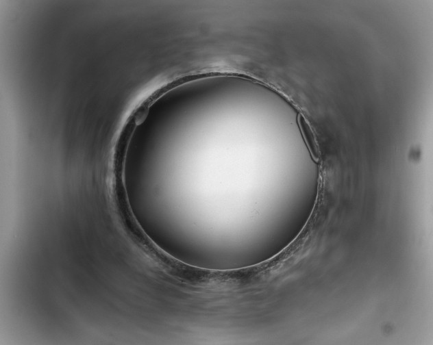 X0000102540248200808151649