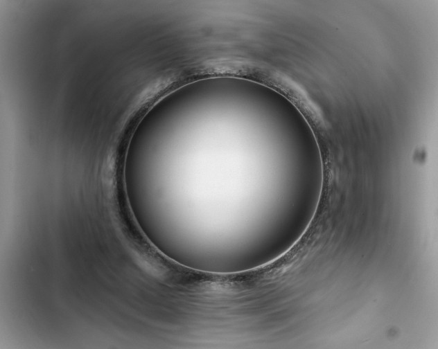 X0000102540250200808151649