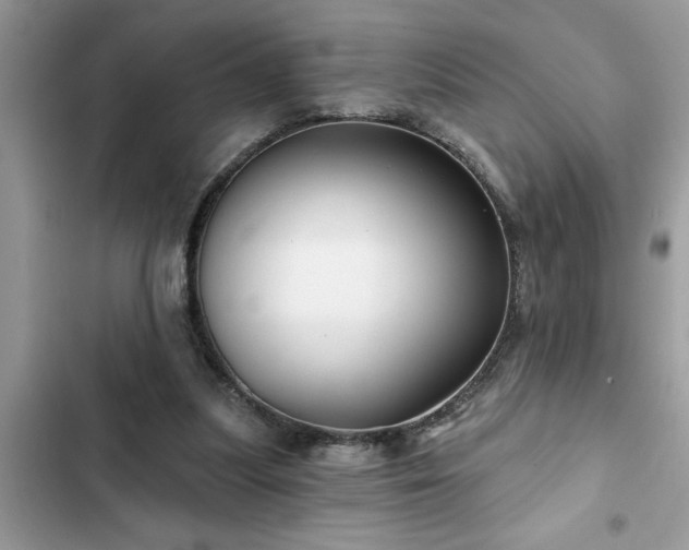 X0000102540251200808151649