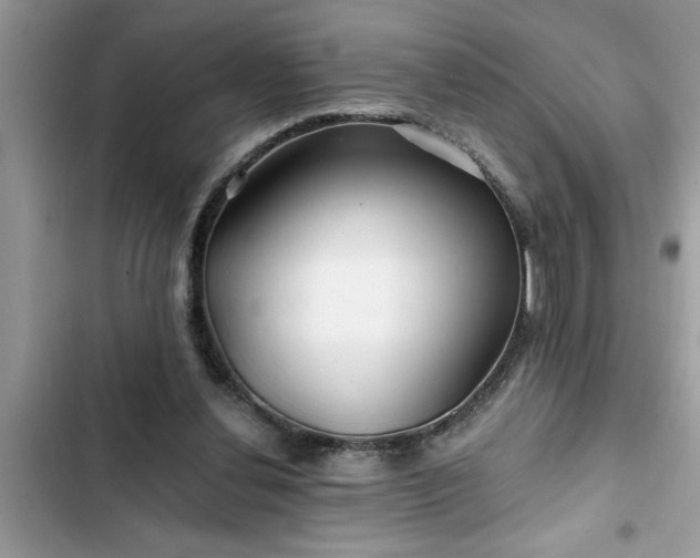X0000102540252200808151649