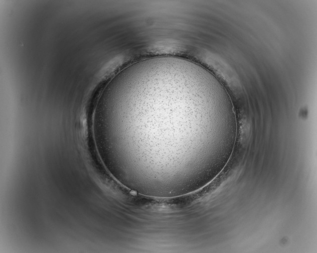 X0000102540254200808151649