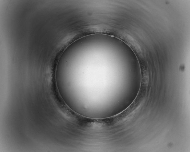 X0000102540255200808151649