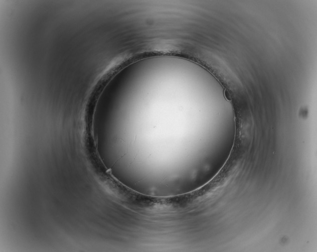 X0000102540256200808151649
