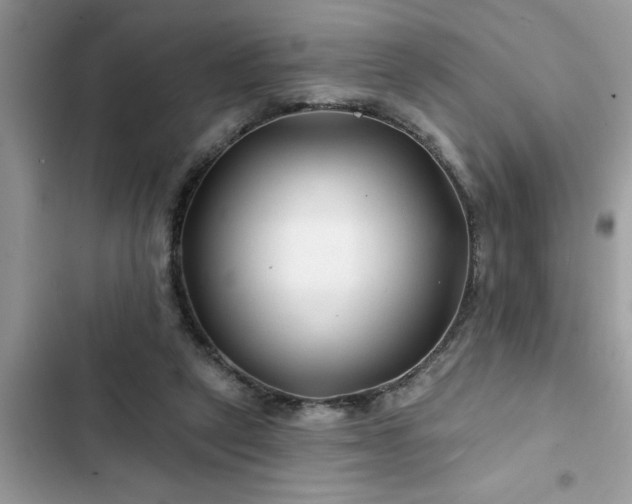X0000102540257200808151649