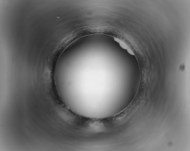 X0000102540258200808151649