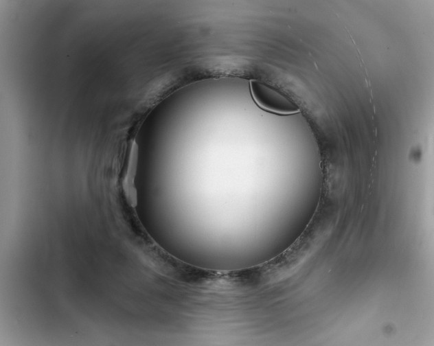 X0000102540259200808151649