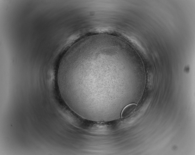 X0000102540260200808151649