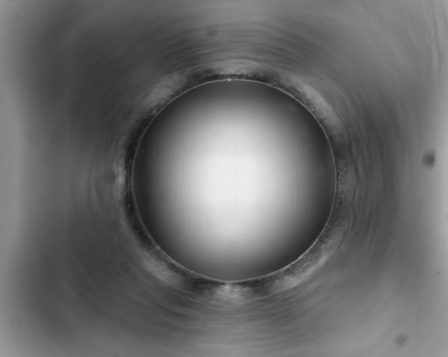 X0000102540261200808151649