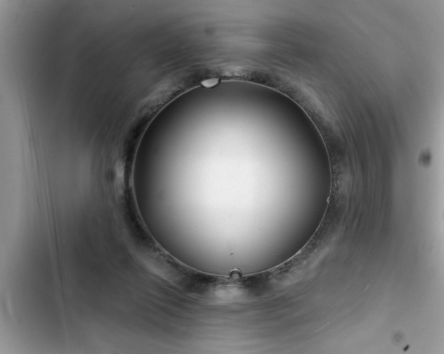 X0000102540262200808151649