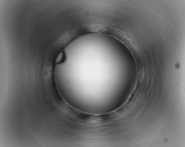 X0000102540263200808151649