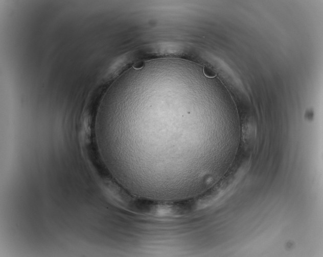 X0000102540264200808151649
