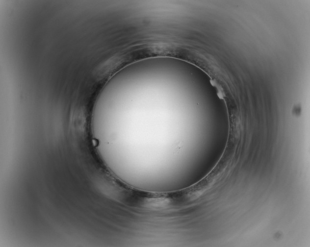 X0000102540266200808151649
