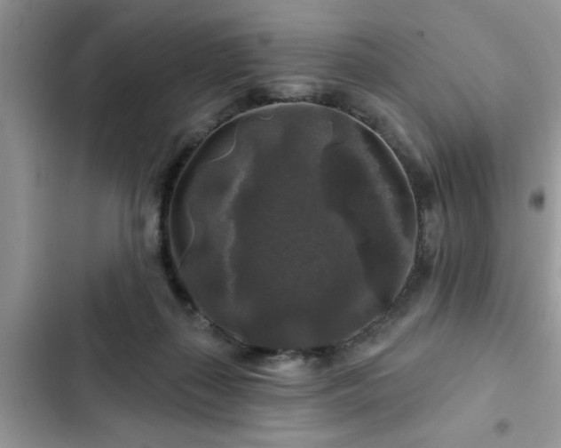 X0000102540267200808151649