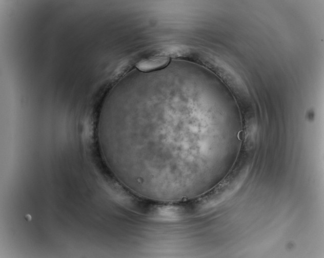 X0000102540268200808151649