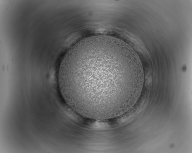 X0000102540270200808151649