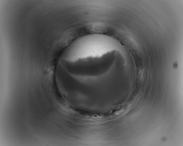 X0000102540271200808151649