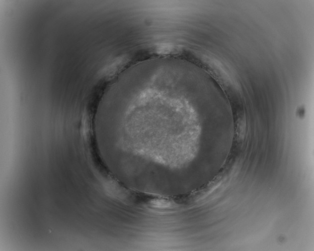 X0000102540272200808151649