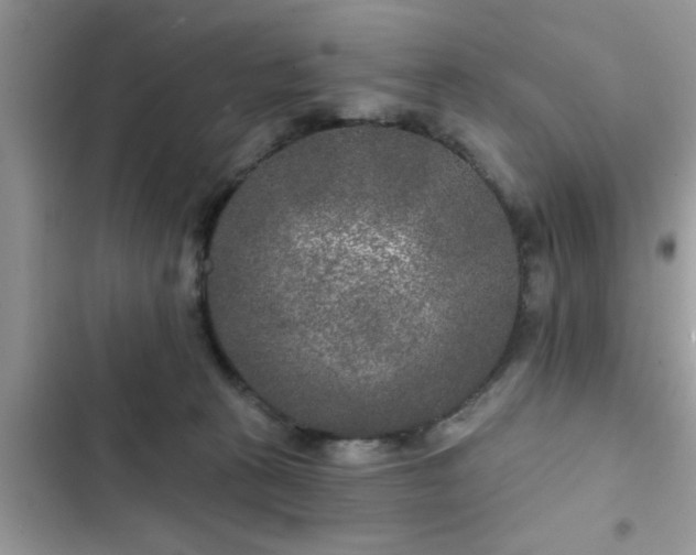 X0000102540273200808151649