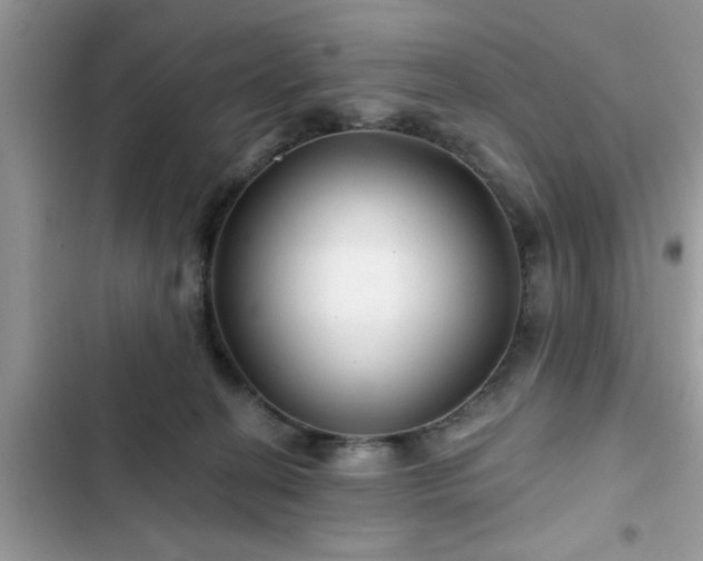 X0000102540274200808151649