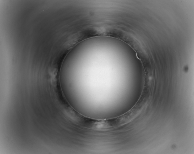 X0000102540275200808151649