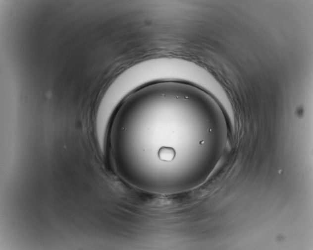 X0000102540276200808151649