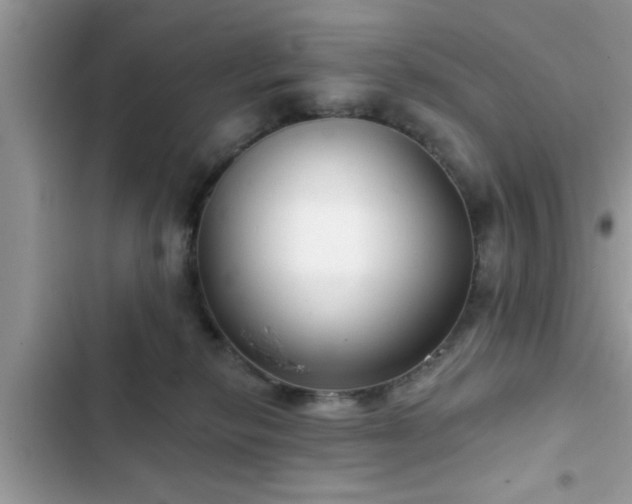 X0000102540278200808151650