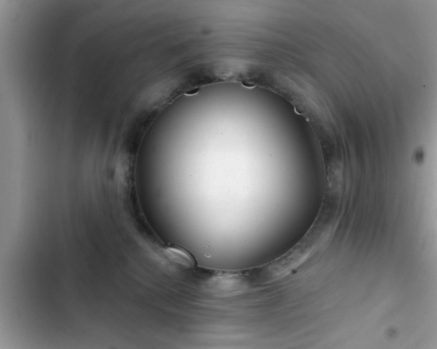 X0000102540280200808151650