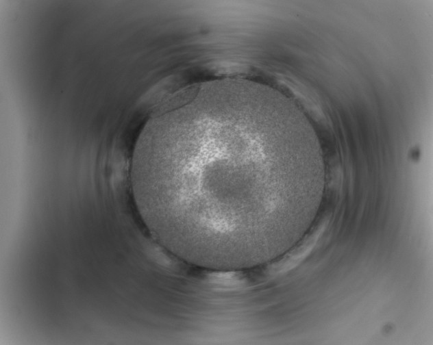 X0000102540281200808151650