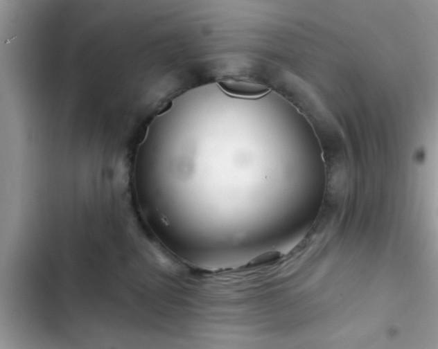 X0000102540282200808151650