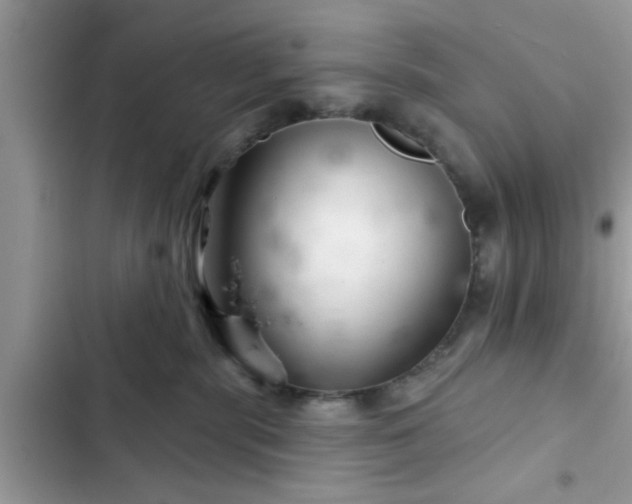 X0000102540283200808151650