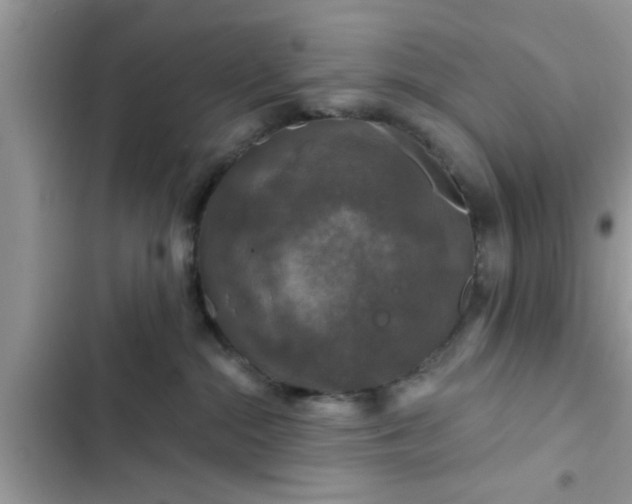 X0000102540284200808151650