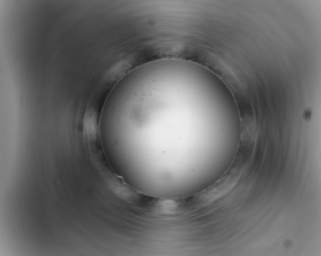 X0000102540287200808151650